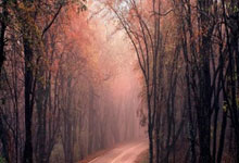 开云体育网页版入口-强强对决，谁将成为最终赢家——揭开胜者的秘密篇章