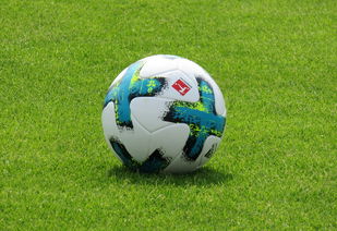 开云体育亚洲官网-弗赖堡惨遭德甲联赛失利，遭遇主场不敌对手深受打击，德甲弗赖堡的战术打法