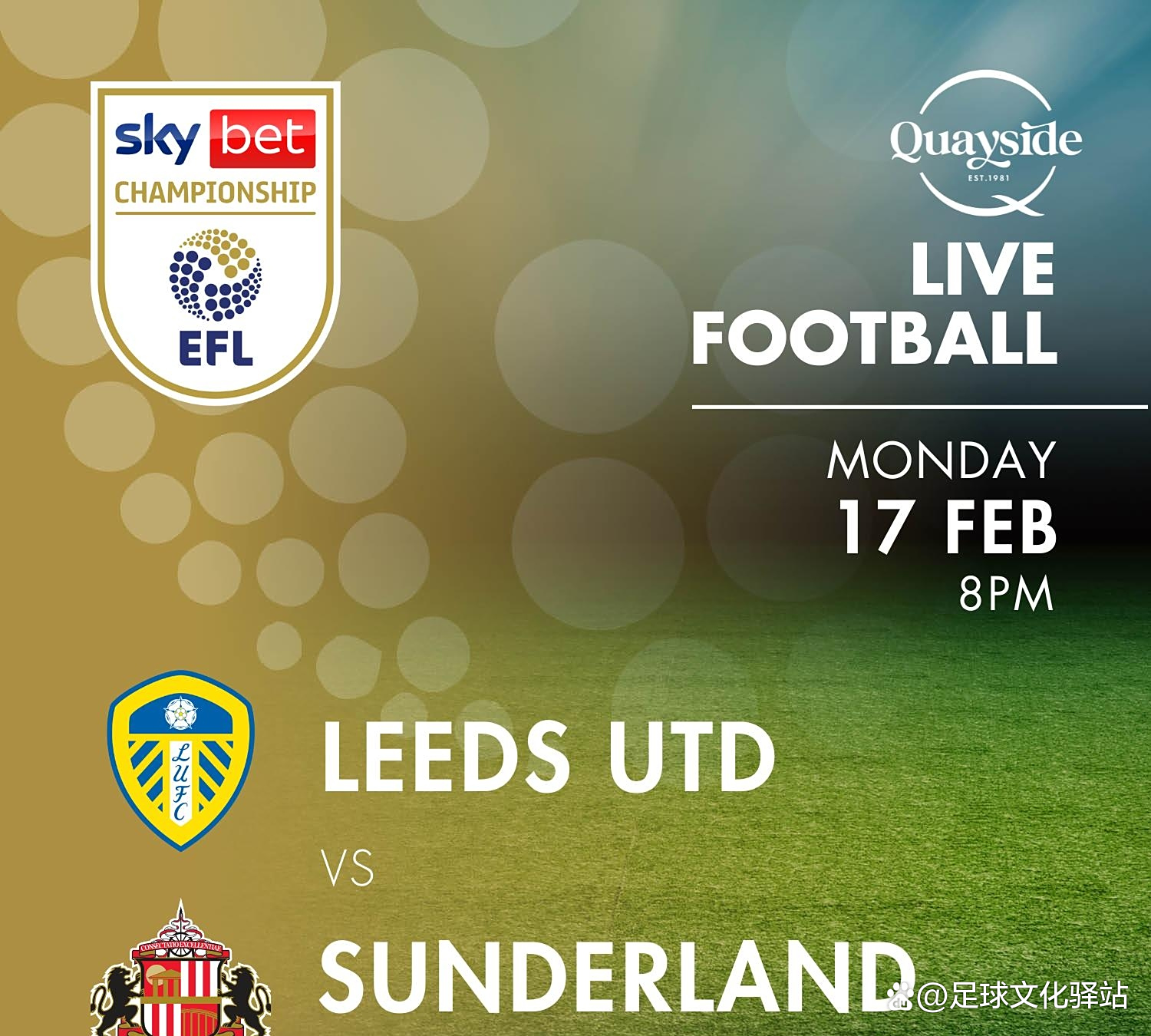 开云体育登录入口-关于斯洛文尼亚将迎战利兹联，备战欧预赛大战的信息