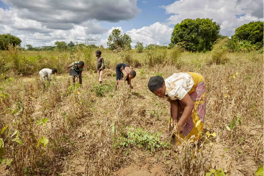 南非队在对阵赞比亚队的比赛中遇到困难